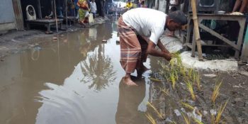 রাস্তায় ধানের চারা লাগিয়ে ব্যতিক্রম প্রতিবাদ!
