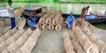 আটঘর কুরিয়ানায় জমে উঠেছে চাঁইয়ের হাট!